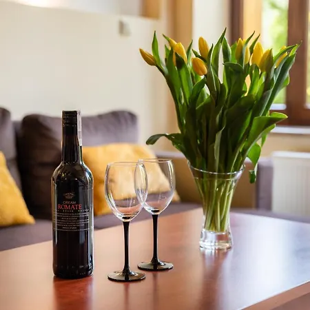 Karkonosky - Huta Szkla Apartman Szklarska Poręba